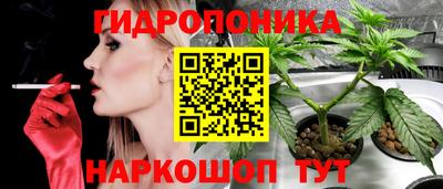 бошки Краснокаменск