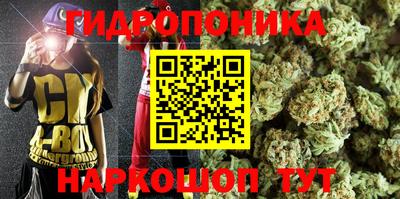 тгк Краснодар
