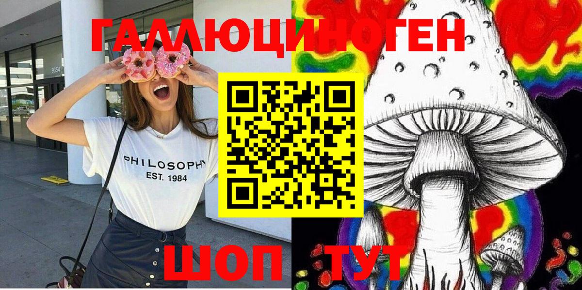 Златоуст  Псилоцибиновые грибы Psilocybe  Вход с VPN 
