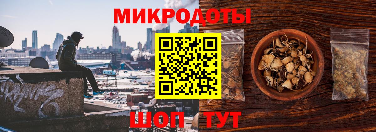 Галлюциногенные грибы Psilocybe Златоуст